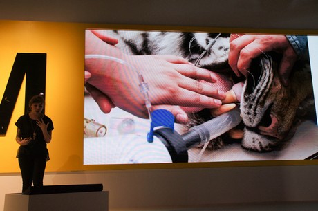photokina-2012