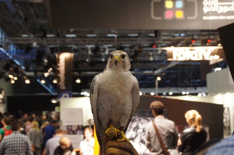 Photokina
