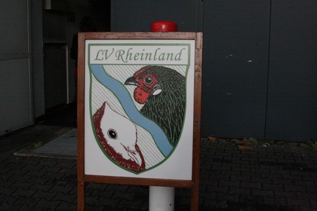 rassegefluegelschau