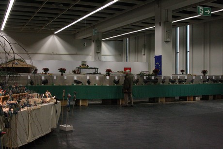 rassegefluegelschau