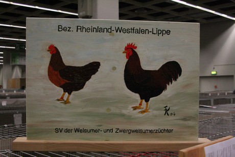 rassegefluegelschau