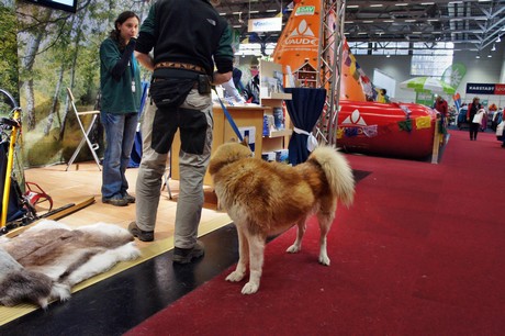 reisemesse