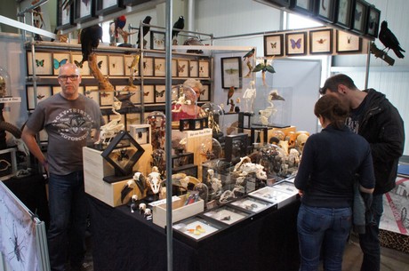 tattoobash-cologne