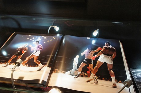 deutsches-Sport-Olympia-Museum
