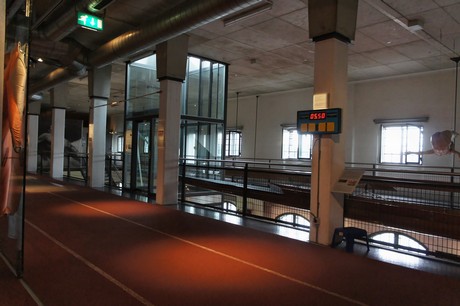 deutsches-Sport-Olympia-Museum