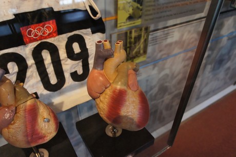 deutsches-Sport-Olympia-Museum