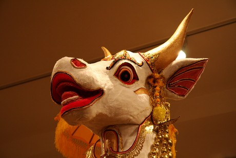 bali