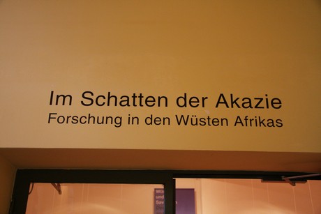 wuesten