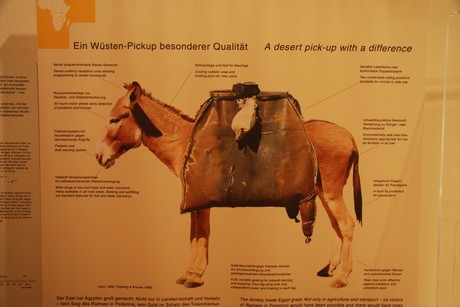 wuesten