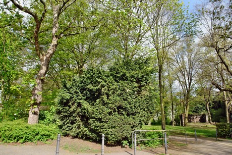 hilde-domin-park