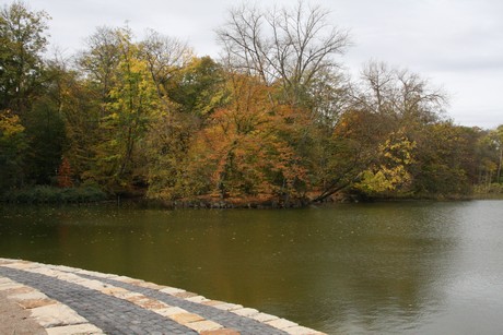 stadtwald