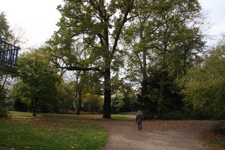 stadtwald