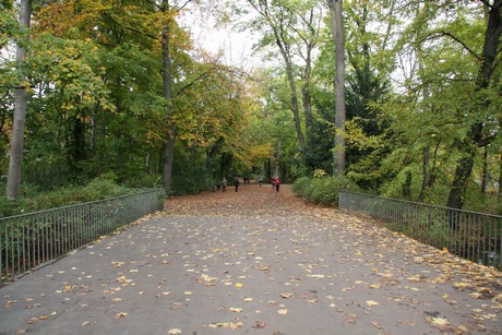 stadtwald