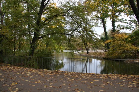 stadtwald