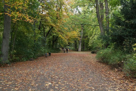 stadtwald