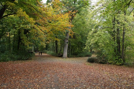 stadtwald