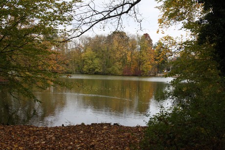stadtwald