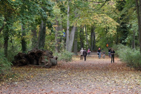 stadtwald