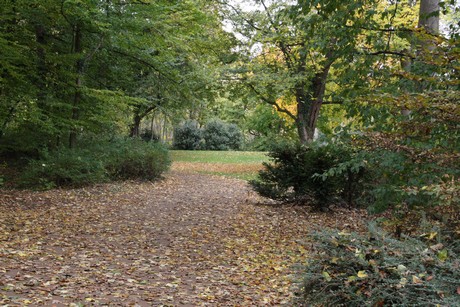 stadtwald