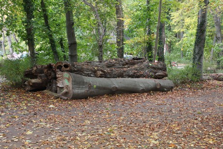 stadtwald