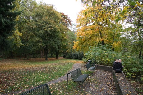 stadtwald