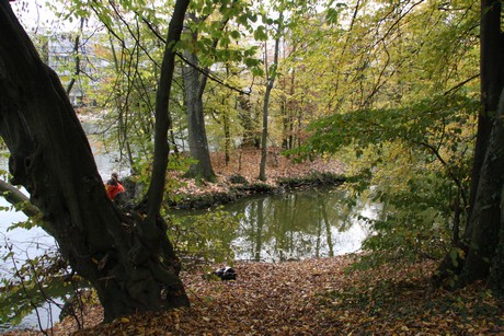 stadtwald