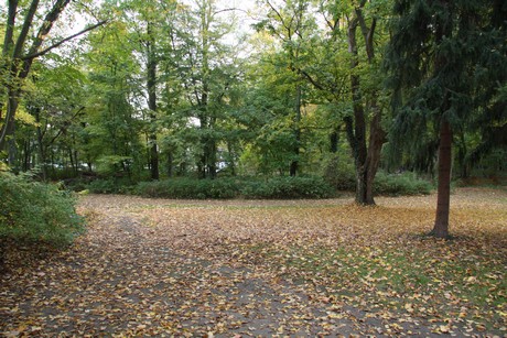 stadtwald