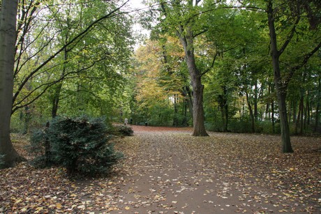 stadtwald