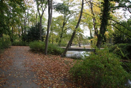 stadtwald