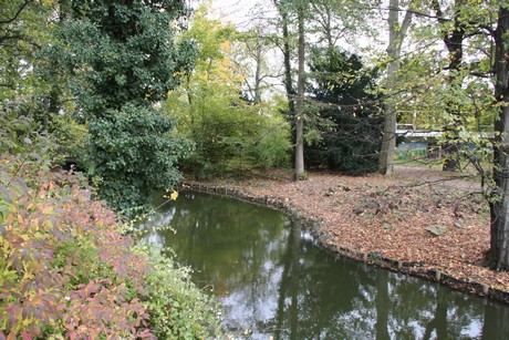 stadtwald