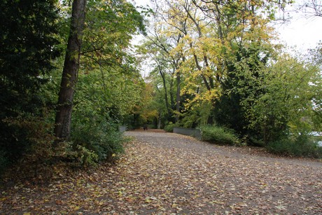 stadtwald