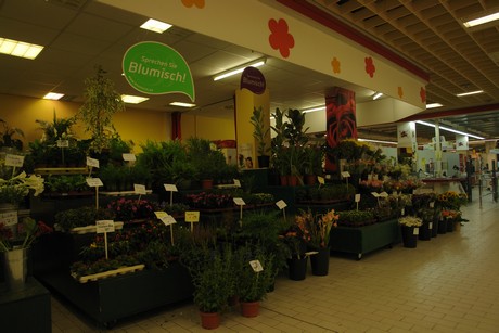 barthonia-forum