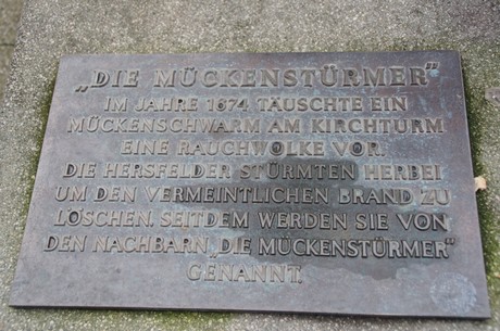 die-mueckenstuermer
