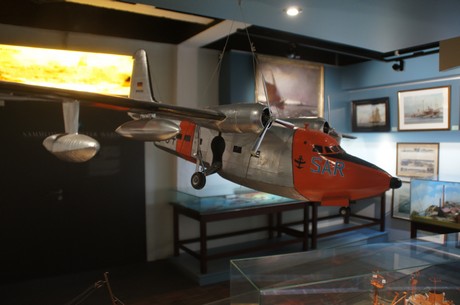 die-albatros