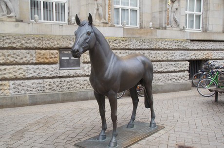 Donnerhall