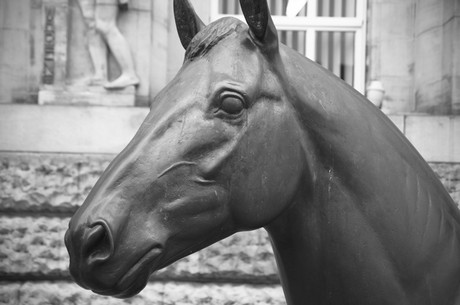 Donnerhall