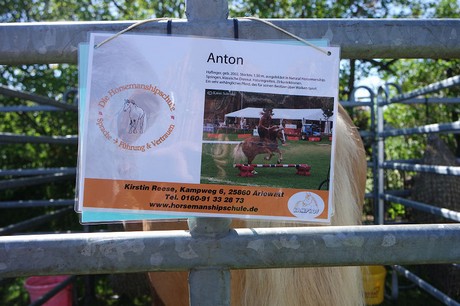 Anton
