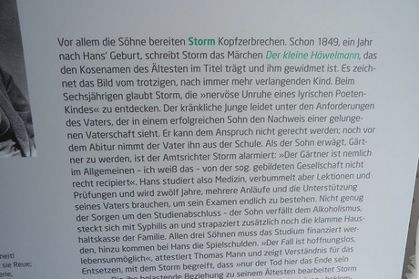 hans-storm