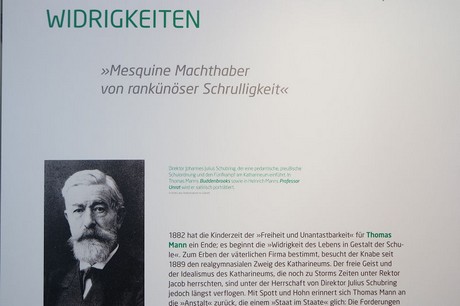 johannes-julius-schubring