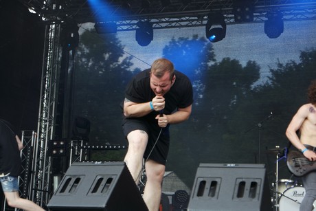 musterbild