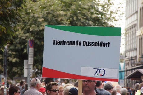 musterbild