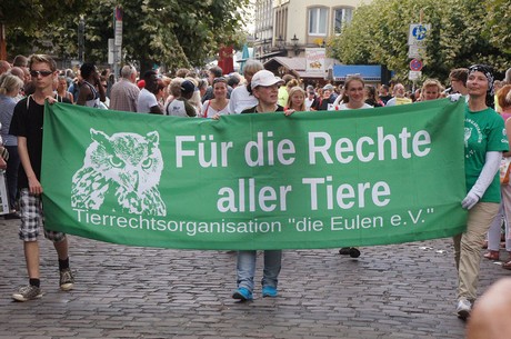 musterbild