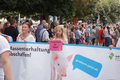 musterbild