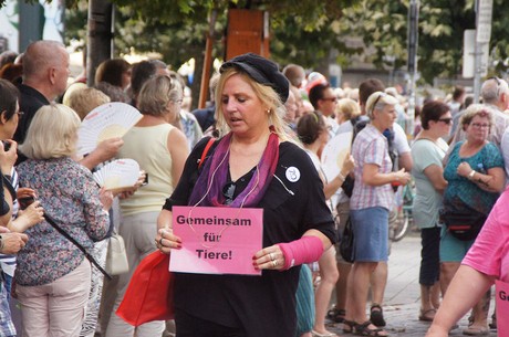 musterbild