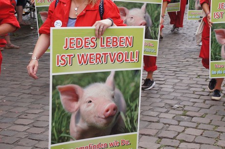 musterbild