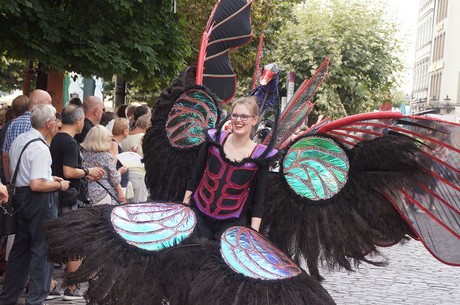 musterbild