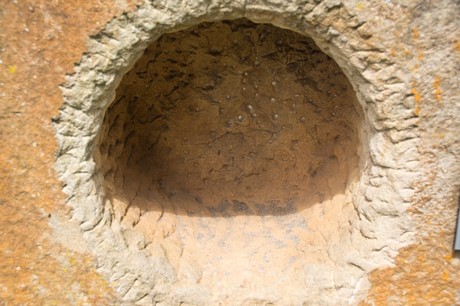 promi