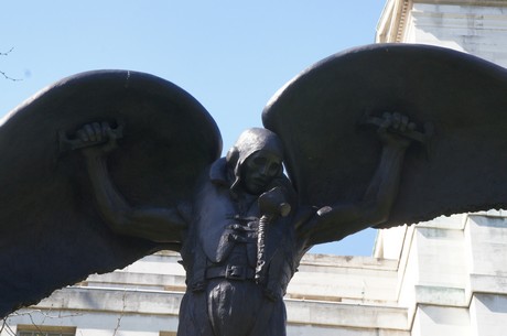 Fleet-Air-Arm