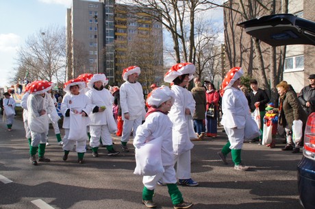 Fliegenpilze