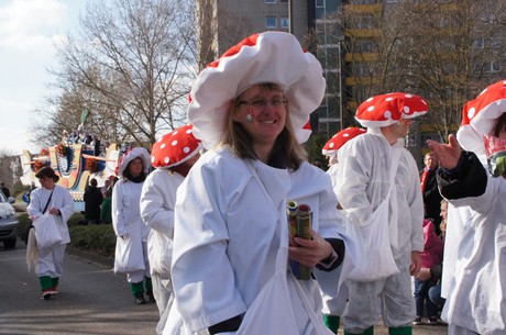 Fliegenpilze